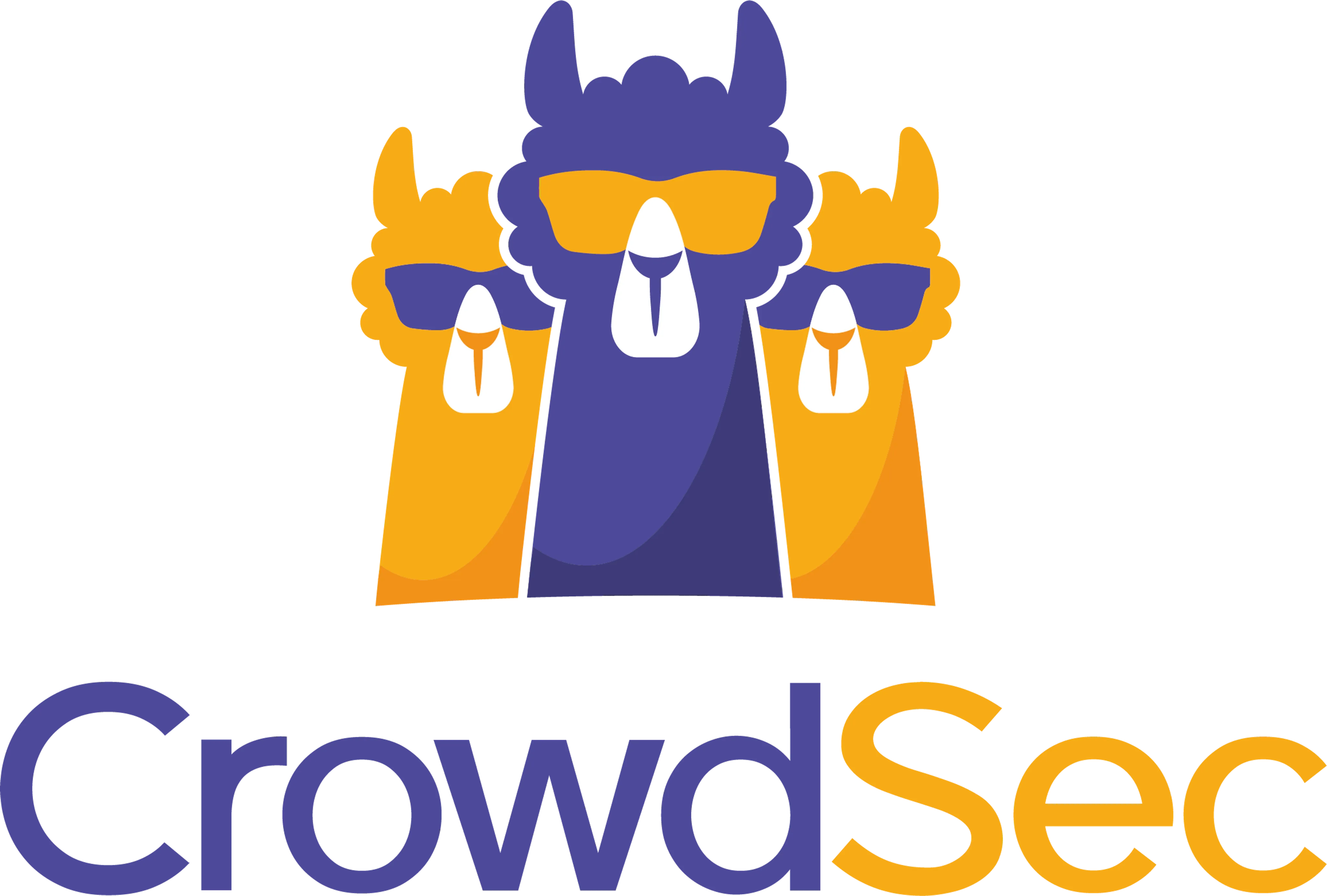 Why You Should Install CrowdSec on Your VPS